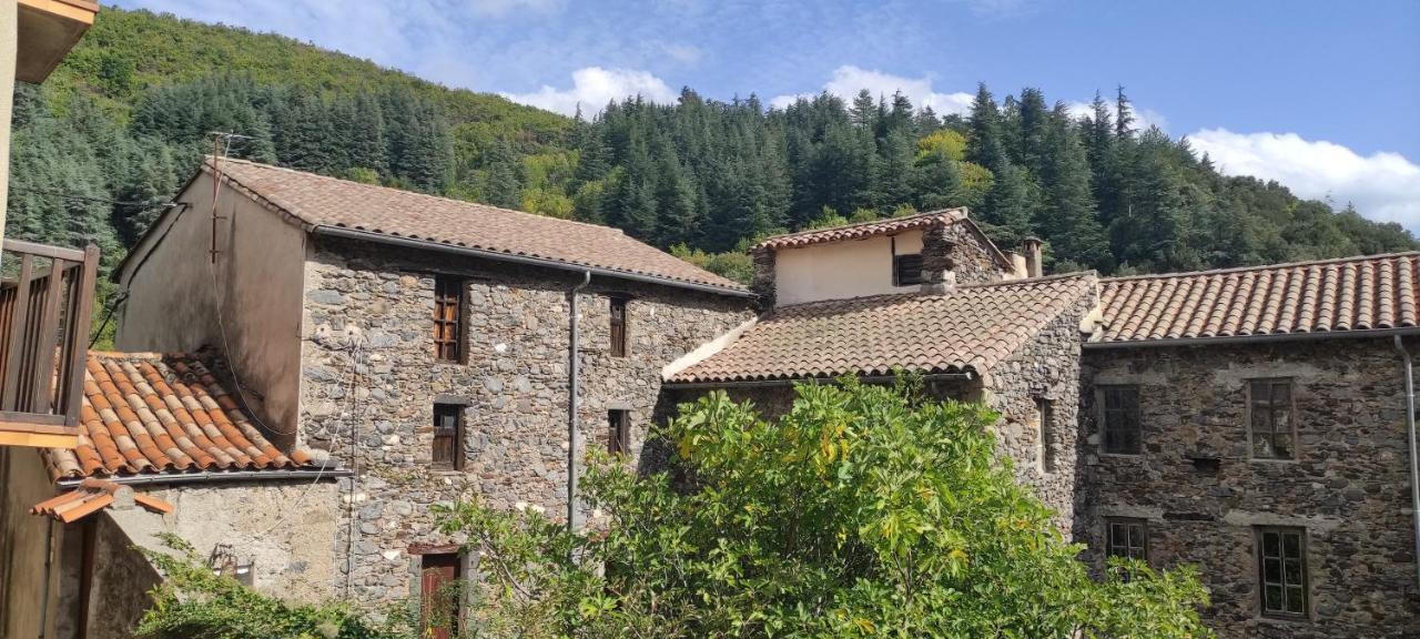 Gite D'Aigoual Valleraugue Exterior photo